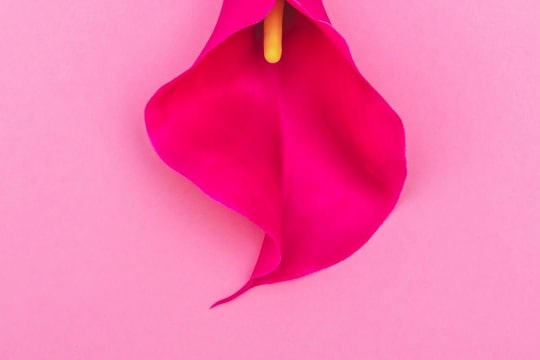 Пять мифов о сквирте